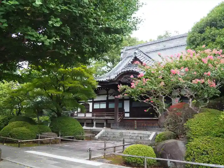高円寺(東京都)