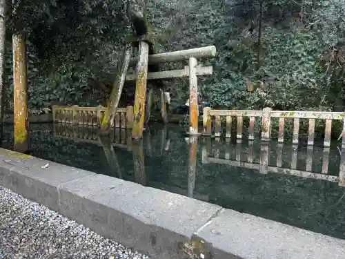 鹿島神宮の{uncategorized: "未分類", other: "その他", undefined: "問題あり", building: "その他建物", grave: "お墓", sacred_gate: "鳥居", guardian: "狛犬", statue: "像", buddha: "仏像", history: "歴史", nature: "自然", garden: "庭園", animal: "動物", pagoda: "塔", temizu: "手水舎", mountain_gate: "山門・神門", sanctuary: "本殿・本堂", subordinate: "末社・摂社", art: "芸術", scenery: "景色", jizo: "地蔵", ema: "絵馬", goshuin: "御朱印", omikuji: "おみくじ", items: "授与品その他", amulet: "お守り", goshuincho: "御朱印帳", eats: "食事", festival: "お祭り", votive_dance: "神楽", shichigosan: "七五三参", wedding: "結婚式", experience: "体験その他", initially: "初詣", around: "周辺", anti_infection: "感染症対策"}
