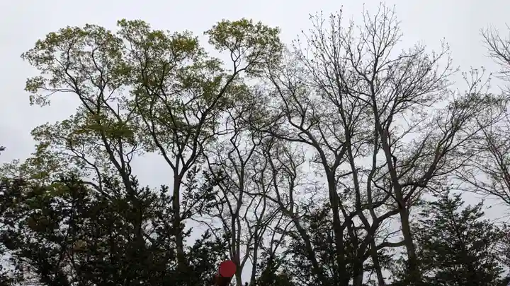 幕別神社の自然