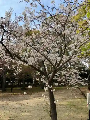 三津厳島神社の自然