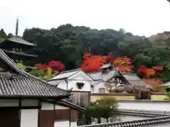 當麻寺(奈良県)