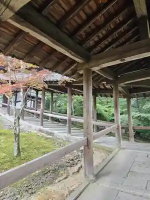 東福禅寺(東福寺)(京都府)