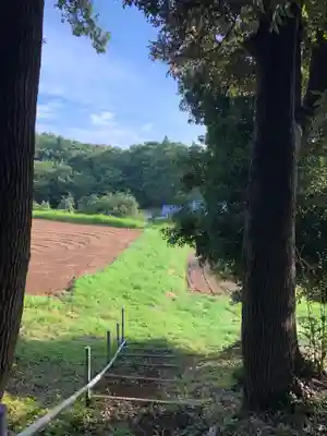 天満宮(千葉県)