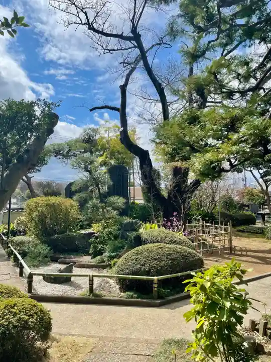法真寺の{uncategorized: "未分類", other: "その他", undefined: "問題あり", building: "その他建物", grave: "お墓", sacred_gate: "鳥居", guardian: "狛犬", statue: "像", buddha: "仏像", history: "歴史", nature: "自然", garden: "庭園", animal: "動物", pagoda: "塔", temizu: "手水舎", mountain_gate: "山門・神門", sanctuary: "本殿・本堂", subordinate: "末社・摂社", art: "芸術", scenery: "景色", jizo: "地蔵", ema: "絵馬", goshuin: "御朱印", omikuji: "おみくじ", items: "授与品その他", amulet: "お守り", goshuincho: "御朱印帳", eats: "食事", festival: "お祭り", votive_dance: "神楽", shichigosan: "七五三参", wedding: "結婚式", experience: "体験その他", initially: "初詣", around: "周辺", anti_infection: "感染症対策"}