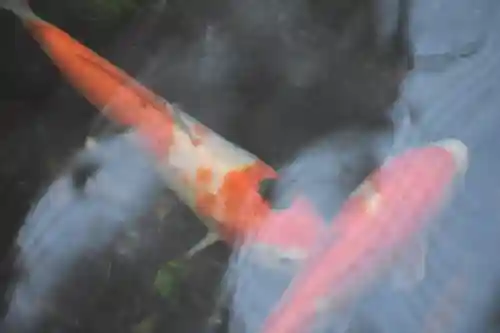 久留里神社のその他建物