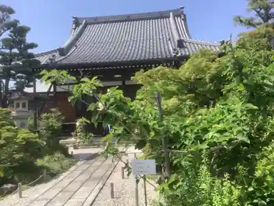 世尊院(曼陀羅寺塔頭)の本殿・本堂