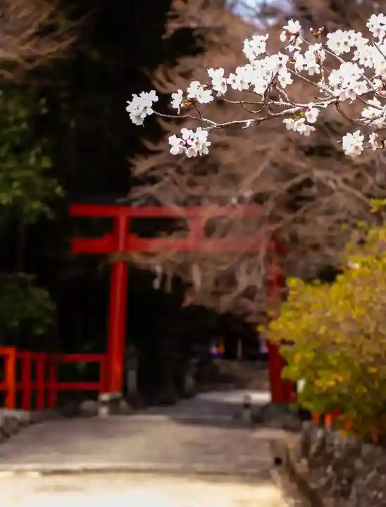 大田神社(賀茂別雷神社境外摂社)(京都府)