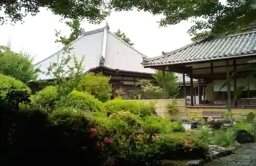 興禅寺の庭園