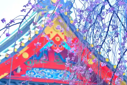 神田神社（神田明神）の自然