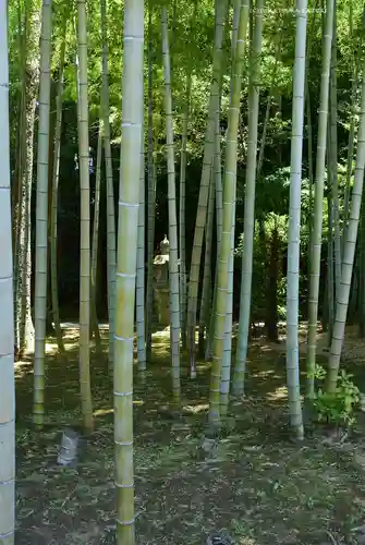 天台宗　長窪山　正覚寺(神奈川県)