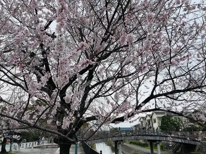 石清水八幡宮(京都府)