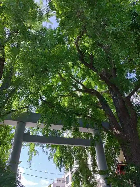 波除神社(波除稲荷神社)(東京都)