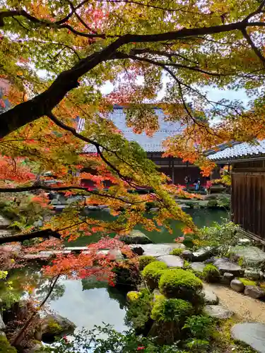 百済寺の建物その他