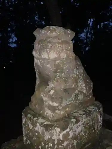 御靈神社の狛犬