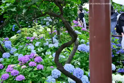白山神社(東京都)