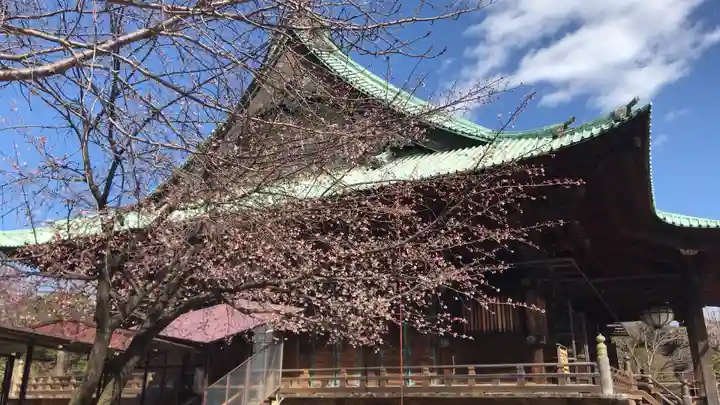 護国寺の本殿・本堂
