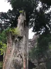 榛名神社の自然