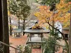 中川八幡宮社の建物その他