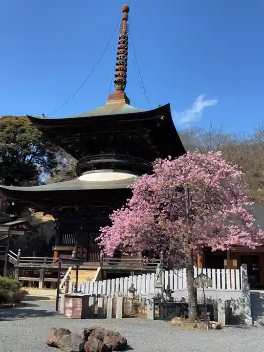 楽法寺(雨引観音)(茨城県)