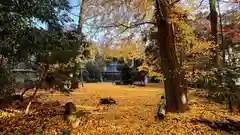 横山神社(滋賀県)