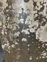 菅原神社(千葉県)