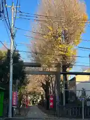 駒込天祖神社(東京都)