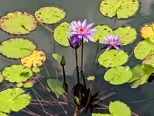 禅林寺（永観堂）(京都府)