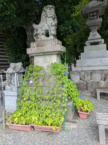 三輪神社(岐阜県)