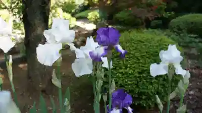 観音寺(千葉県)