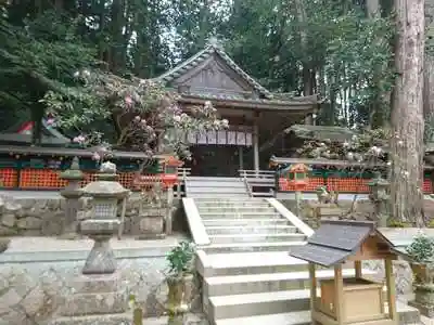 都祁山口神社の本殿