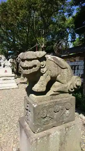 菊田神社の狛犬