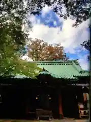 赤坂氷川神社の御朱印