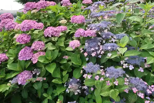 性海寺(愛知県)