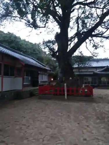 八幡奈多宮の自然