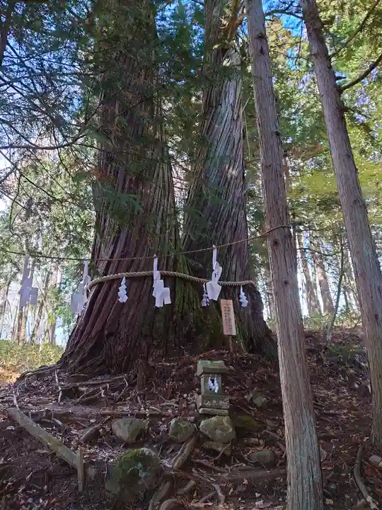 戸隠神社火之御子社(長野県)