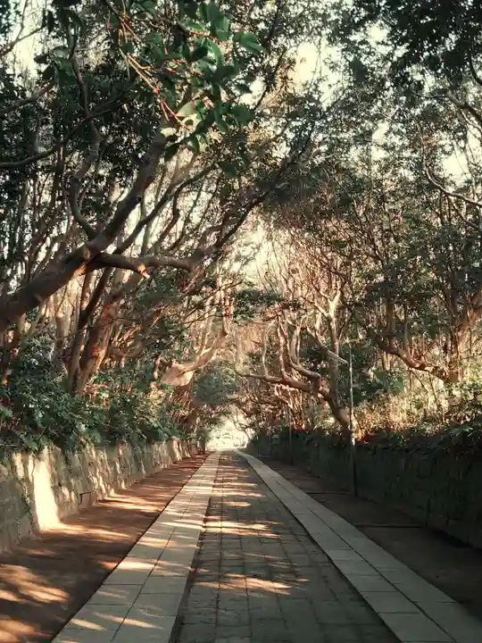 酒列磯前神社の自然