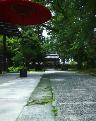 守りの神　藤基神社(新潟県)