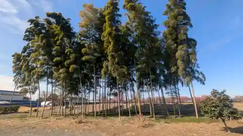 下野薬師寺 (旧 安國寺)の{uncategorized: "未分類", other: "その他", undefined: "問題あり", building: "その他建物", grave: "お墓", sacred_gate: "鳥居", guardian: "狛犬", statue: "像", buddha: "仏像", history: "歴史", nature: "自然", garden: "庭園", animal: "動物", pagoda: "塔", temizu: "手水舎", mountain_gate: "山門・神門", sanctuary: "本殿・本堂", subordinate: "末社・摂社", art: "芸術", scenery: "景色", jizo: "地蔵", ema: "絵馬", goshuin: "御朱印", omikuji: "おみくじ", items: "授与品その他", amulet: "お守り", goshuincho: "御朱印帳", eats: "食事", festival: "お祭り", votive_dance: "神楽", shichigosan: "七五三参", wedding: "結婚式", experience: "体験その他", initially: "初詣", around: "周辺", anti_infection: "感染症対策"}