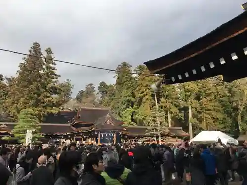 多賀大社の初詣