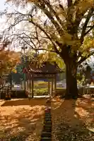 禅蔵寺(愛媛県)