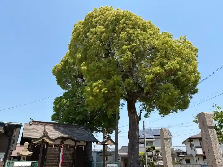 稲荷神社の{uncategorized: "未分類", other: "その他", undefined: "問題あり", building: "その他建物", grave: "お墓", sacred_gate: "鳥居", guardian: "狛犬", statue: "像", buddha: "仏像", history: "歴史", nature: "自然", garden: "庭園", animal: "動物", pagoda: "塔", temizu: "手水舎", mountain_gate: "山門・神門", sanctuary: "本殿・本堂", subordinate: "末社・摂社", art: "芸術", scenery: "景色", jizo: "地蔵", ema: "絵馬", goshuin: "御朱印", omikuji: "おみくじ", items: "授与品その他", amulet: "お守り", goshuincho: "御朱印帳", eats: "食事", festival: "お祭り", votive_dance: "神楽", shichigosan: "七五三参", wedding: "結婚式", experience: "体験その他", initially: "初詣", around: "周辺", anti_infection: "感染症対策"}