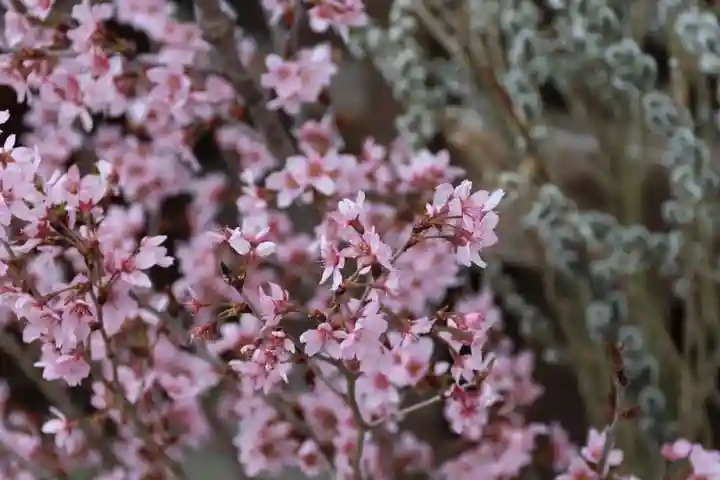 阿邪訶根神社の授与品その他