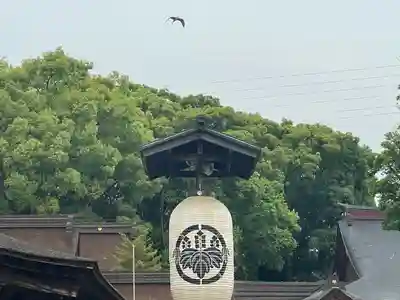 尾張大國霊神社（国府宮）(愛知県)