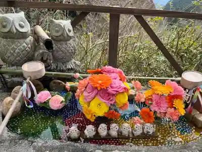 千鶴寺の手水舎