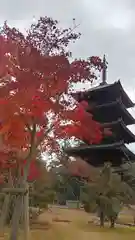 仁和寺の塔