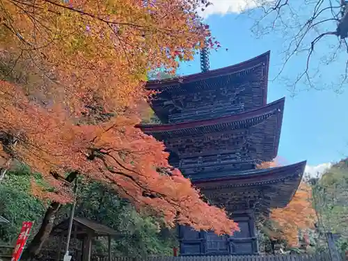 金剛院(京都府)