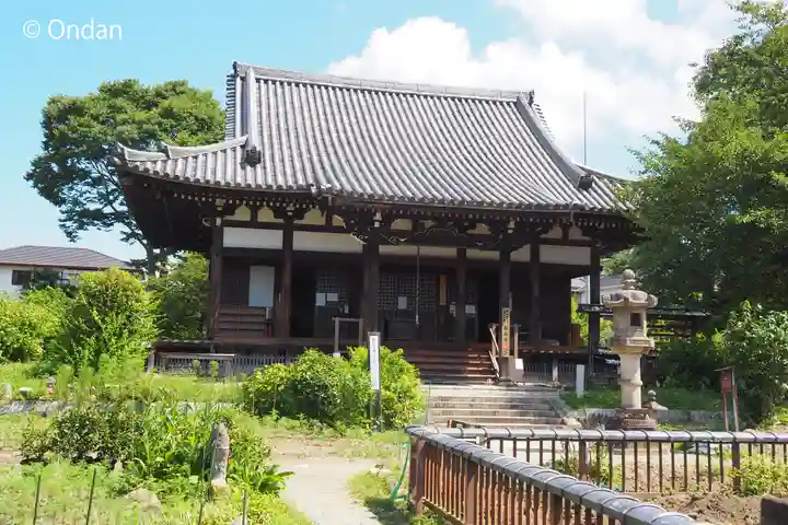 般若寺 ❁コスモス寺❁(奈良県)