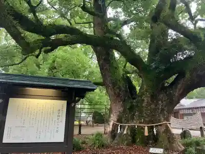 諫早神社（九州総守護  四面宮）(長崎県)