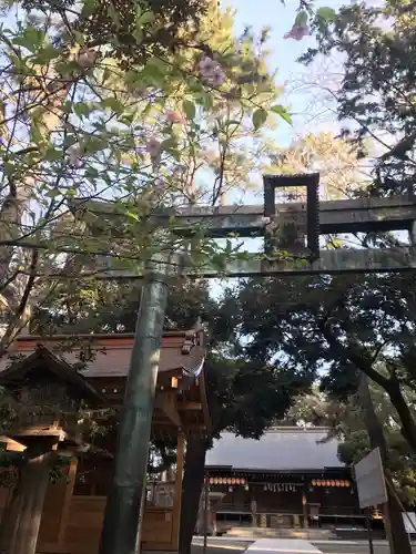 平塚八幡宮の鳥居