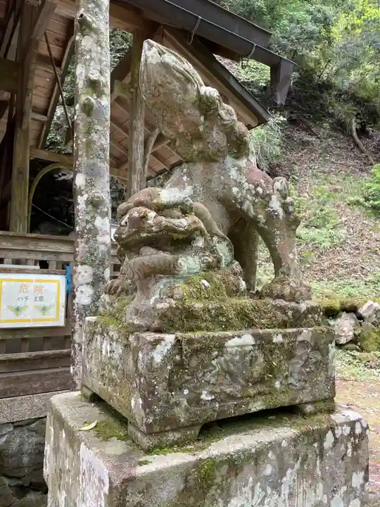 岩戸落葉神社(京都府)